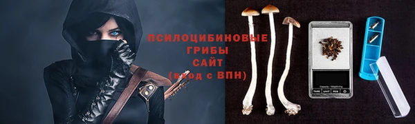 трава Абинск