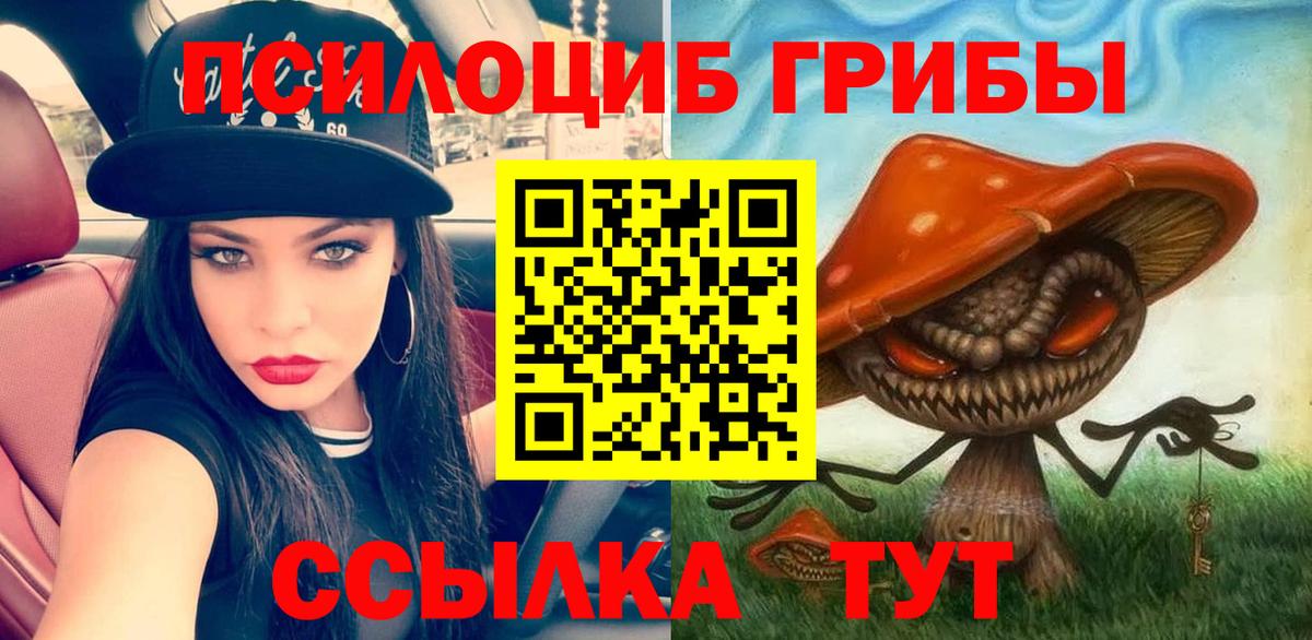 Галлюциногенные грибы Алатырь